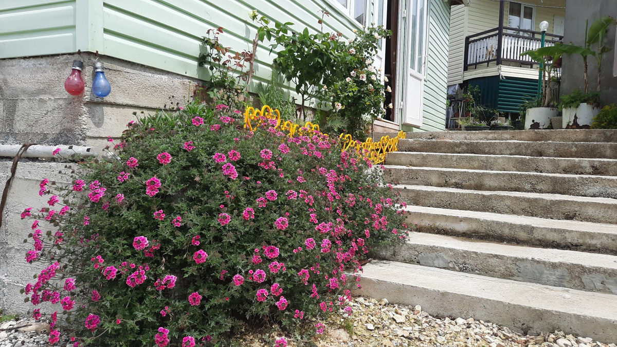 Гостевой дом Мандариновый Рай