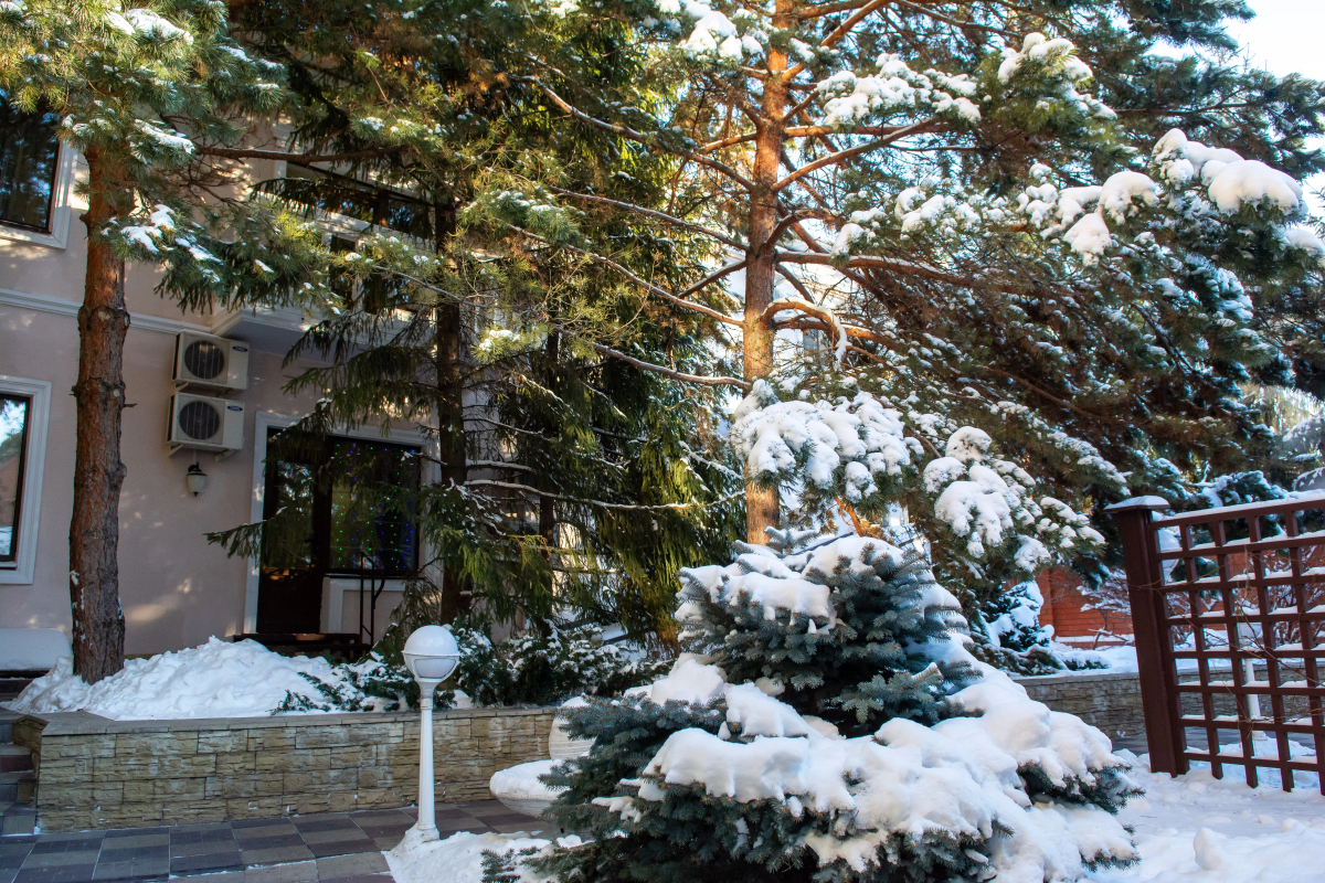 Отель Ваш Симбирск