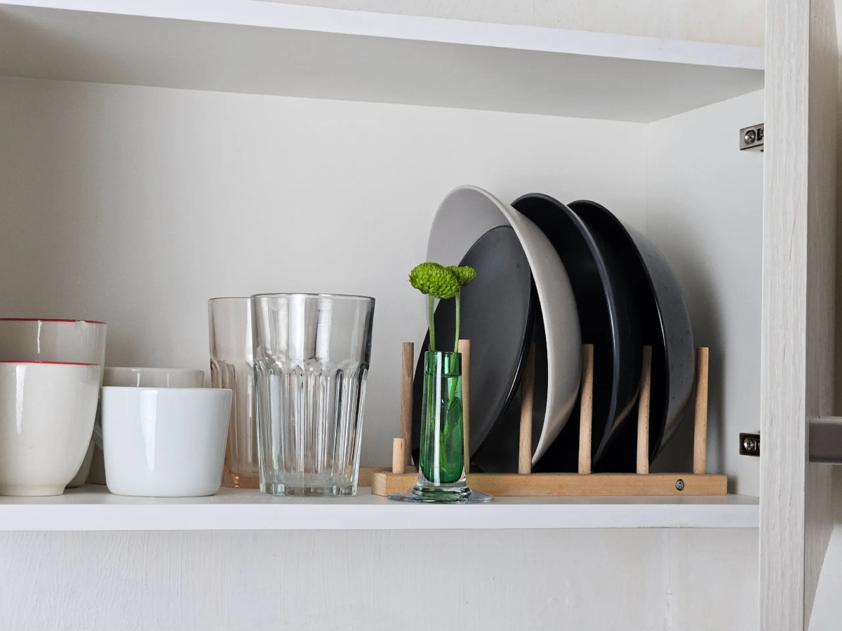 Квартира Ботаника