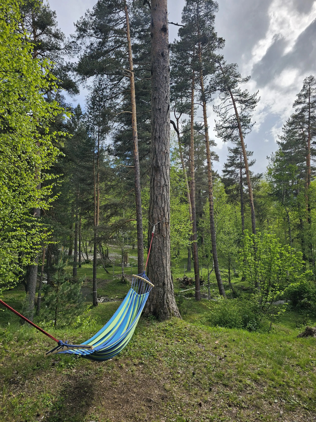 База отдыха Sherwood Arkhyz Chalet