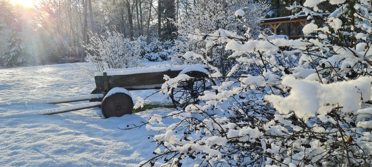 Апартаменты Валдай Пространство мечты 2