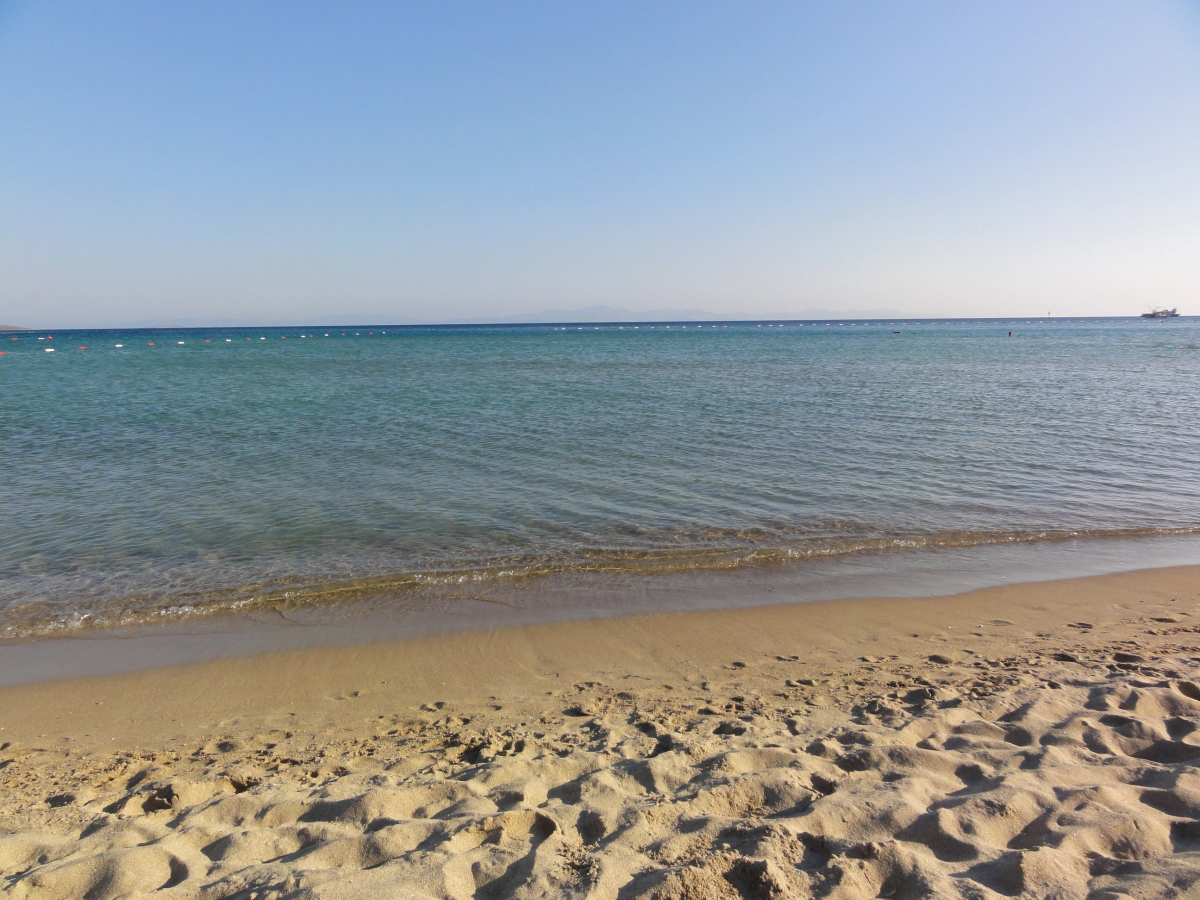 Отель Altinersan Altinkum Didim