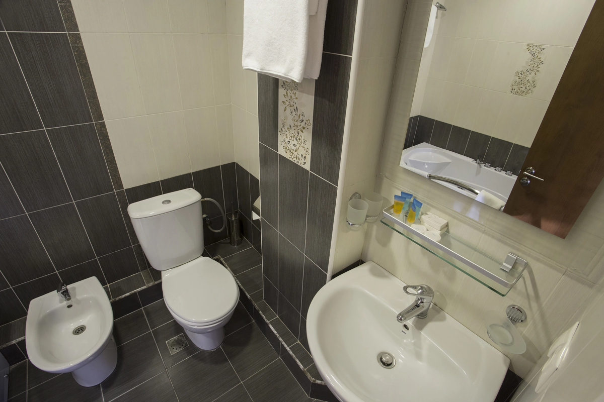 Отель Ani Central Inn