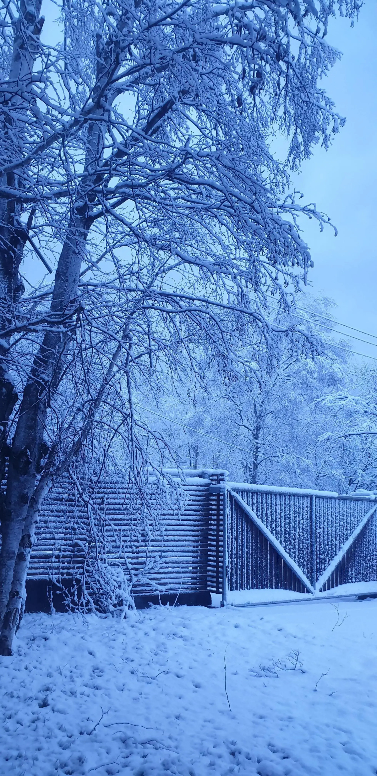 Отель Белый Снег - White Snow
