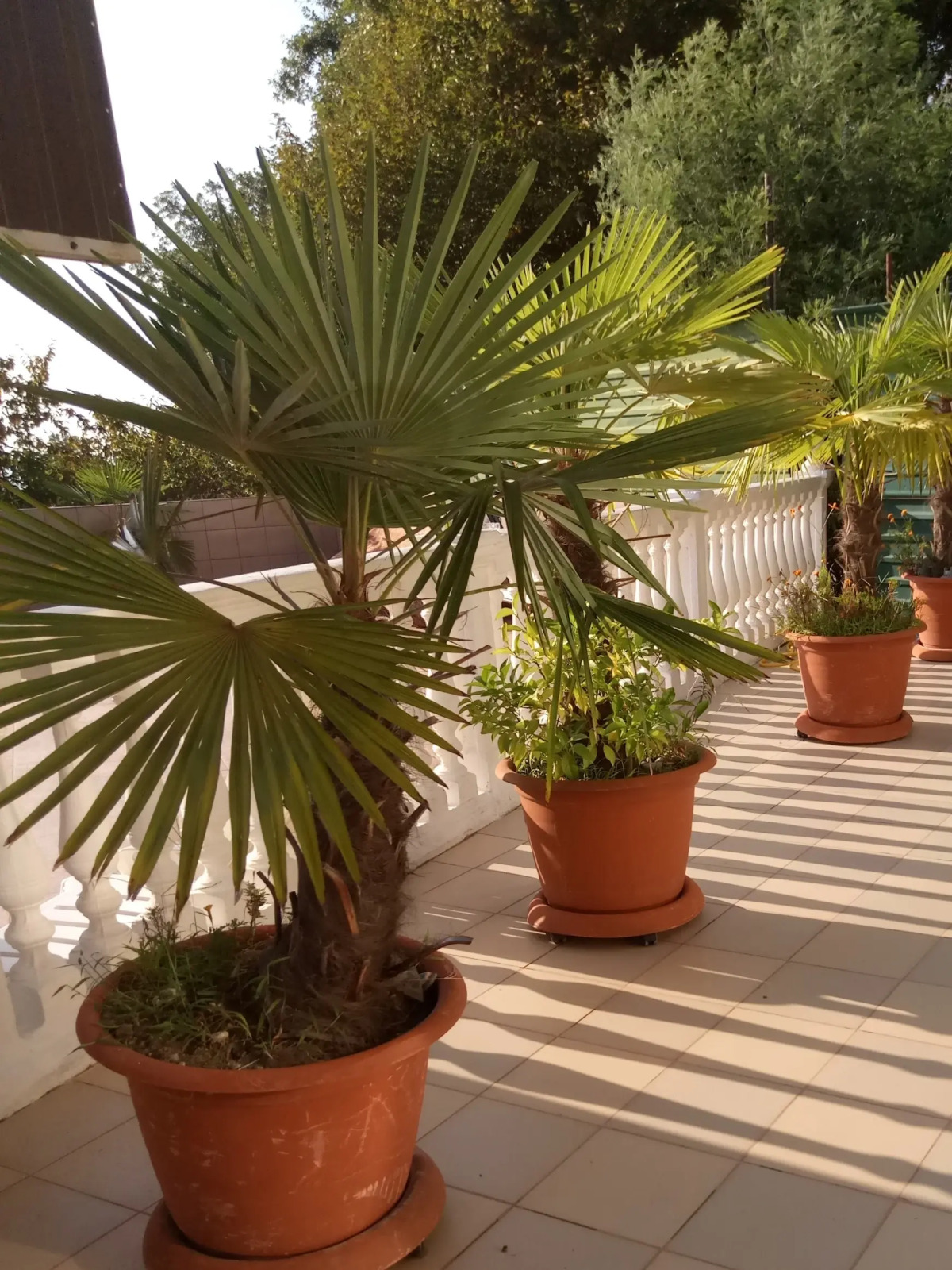 Гостевой дом У Роберта