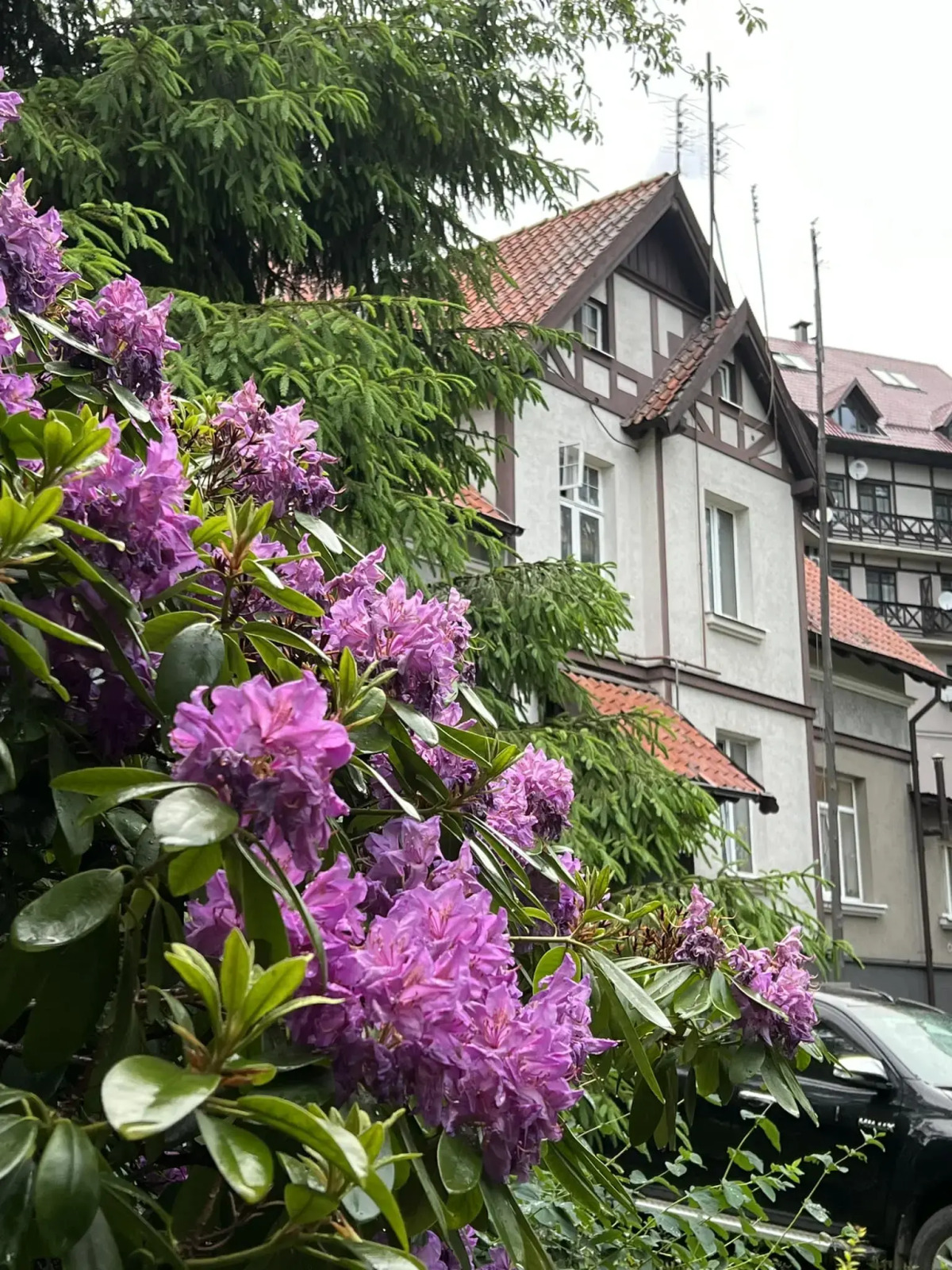 Апартаменты Гавань