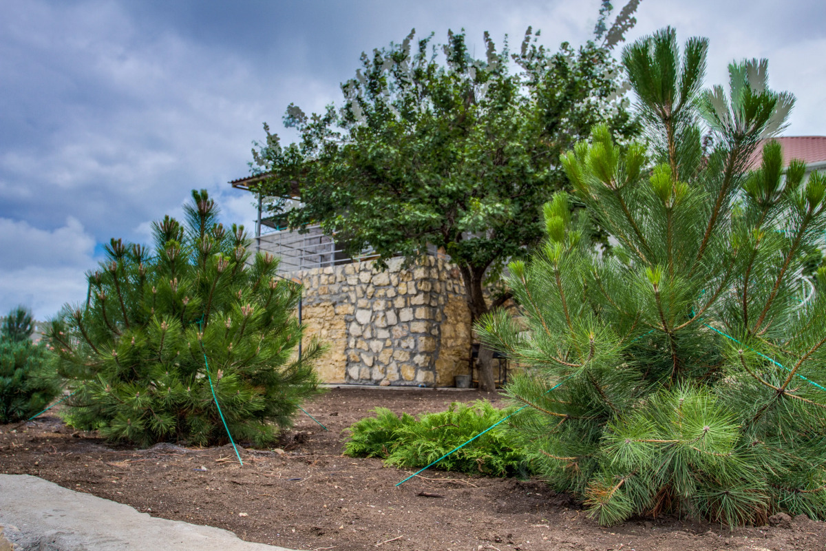 Гостевой Дом Рейд