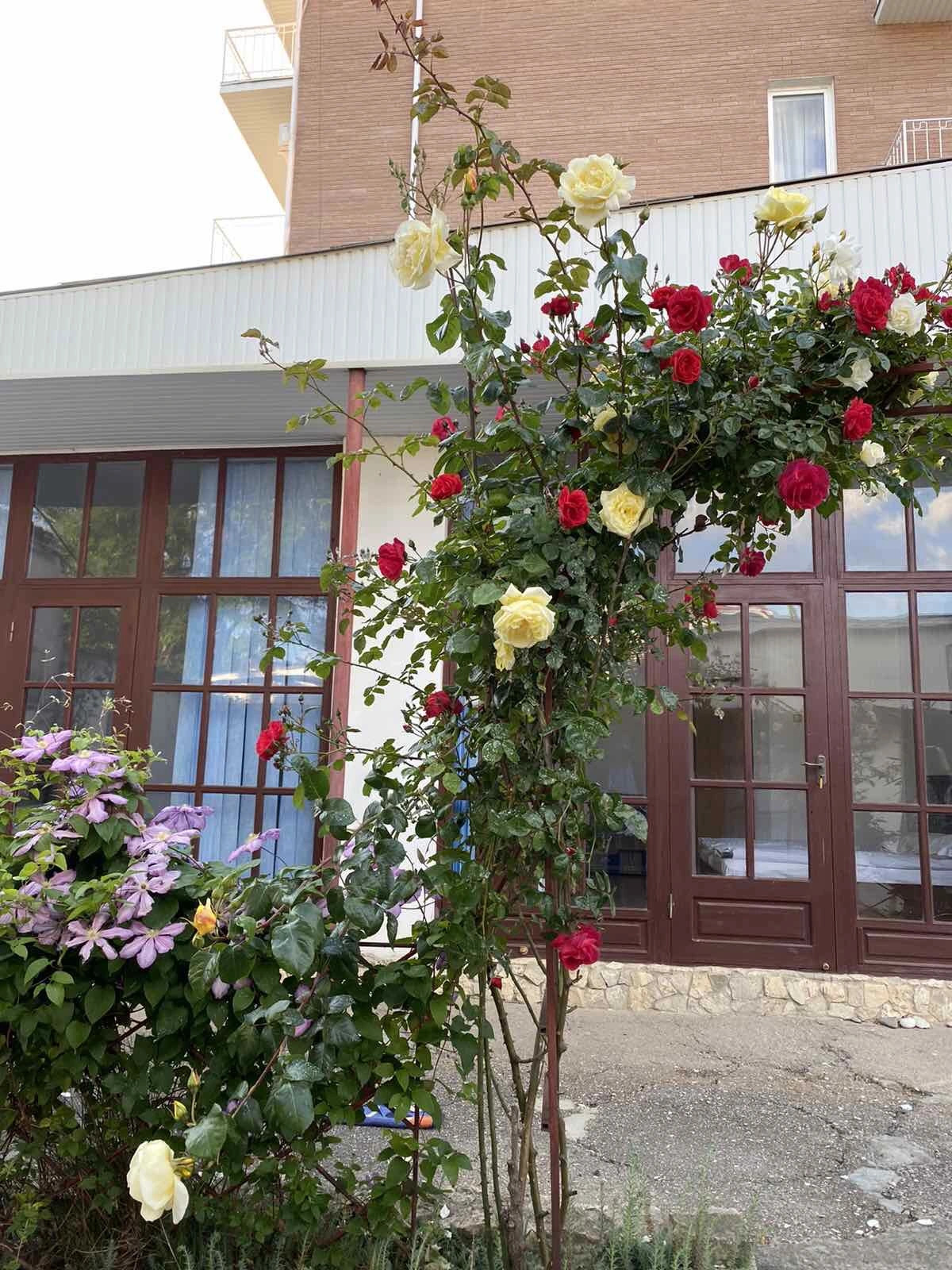 Гостевой дом Камелот