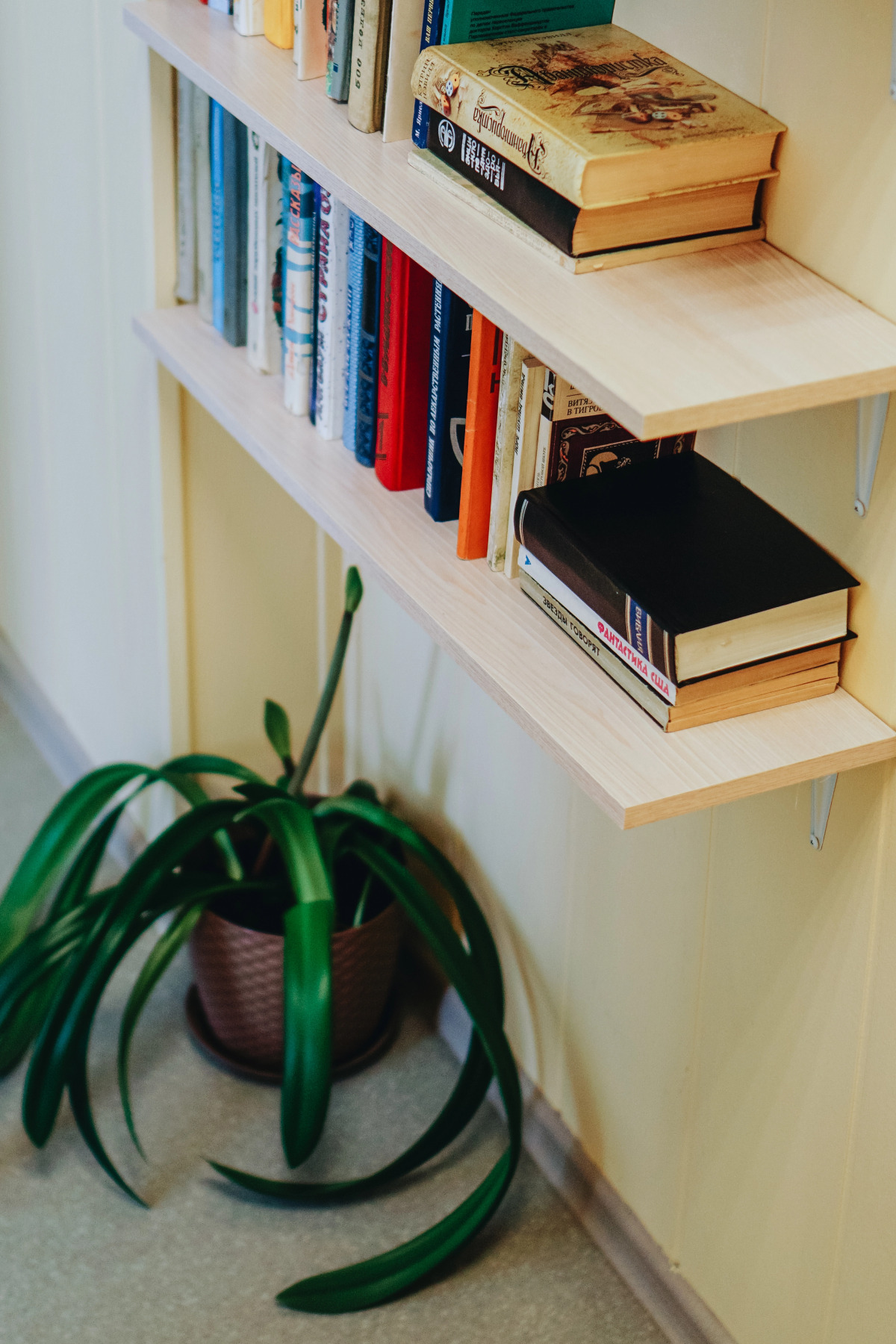 Меблированные комнаты Норка