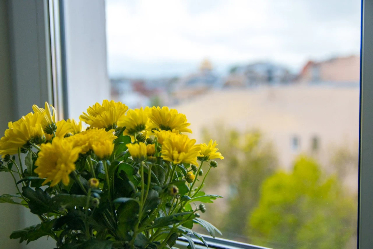 Жилые помещения Мишаня