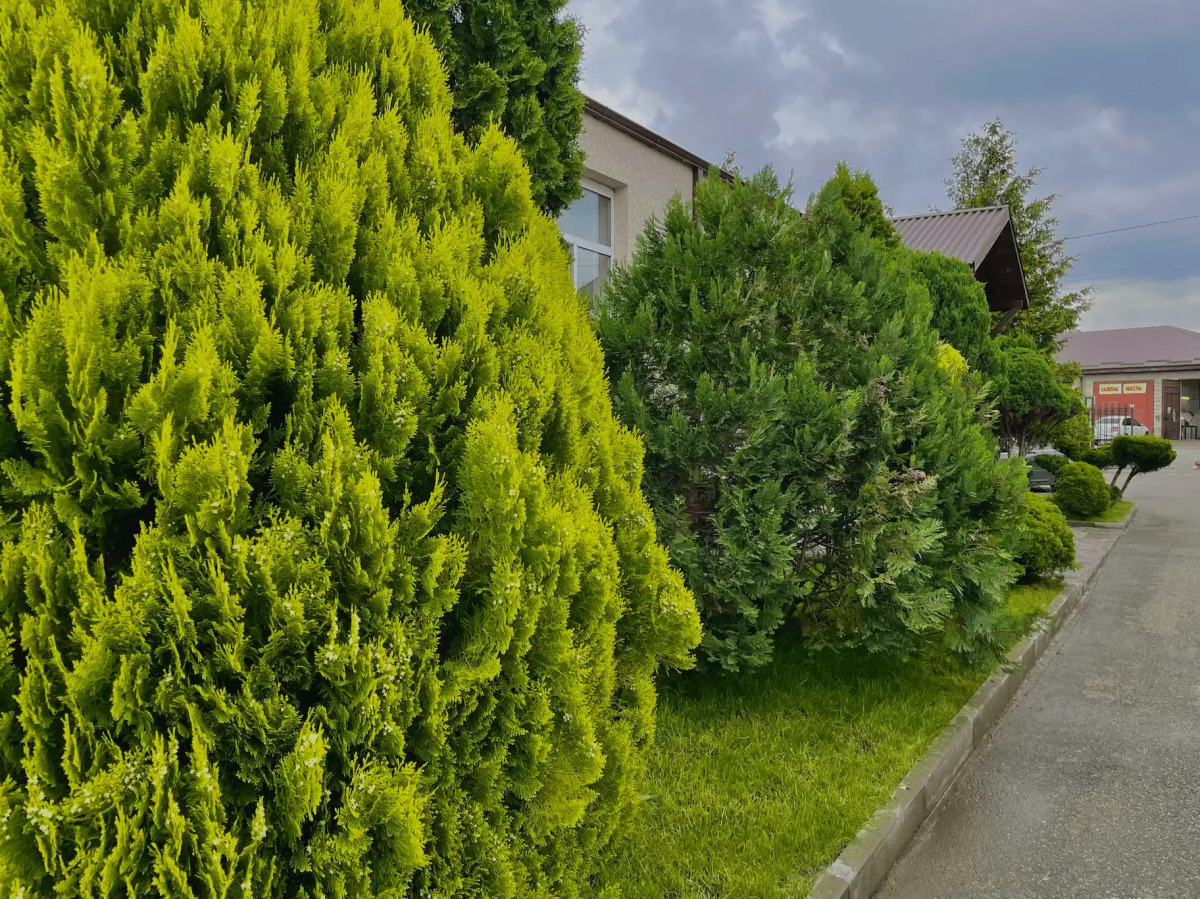 Отель Провинция