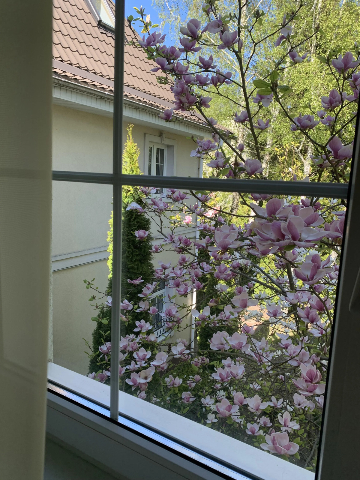 Вилла Гренч