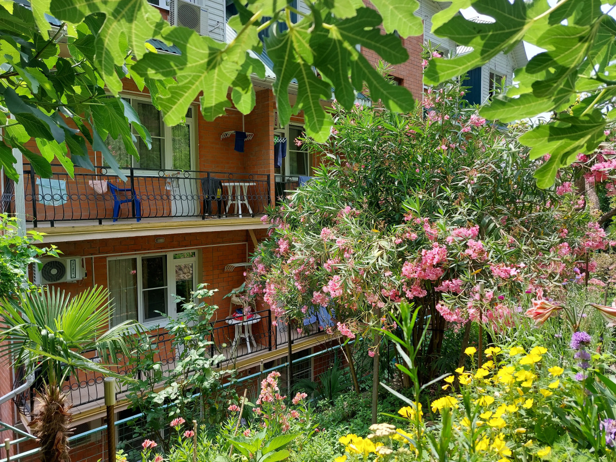 Гостевой дом семейный клуб Арго