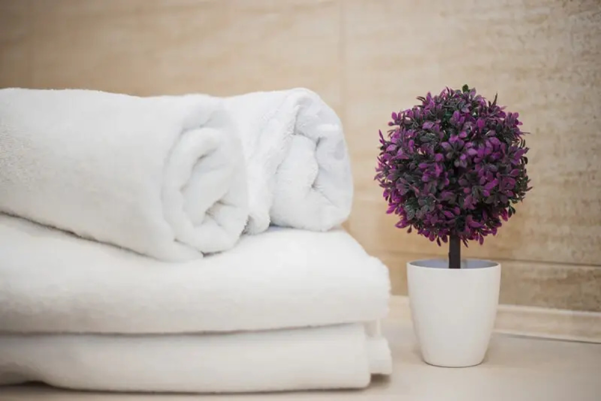 Апартаменты Солнечный Ветер