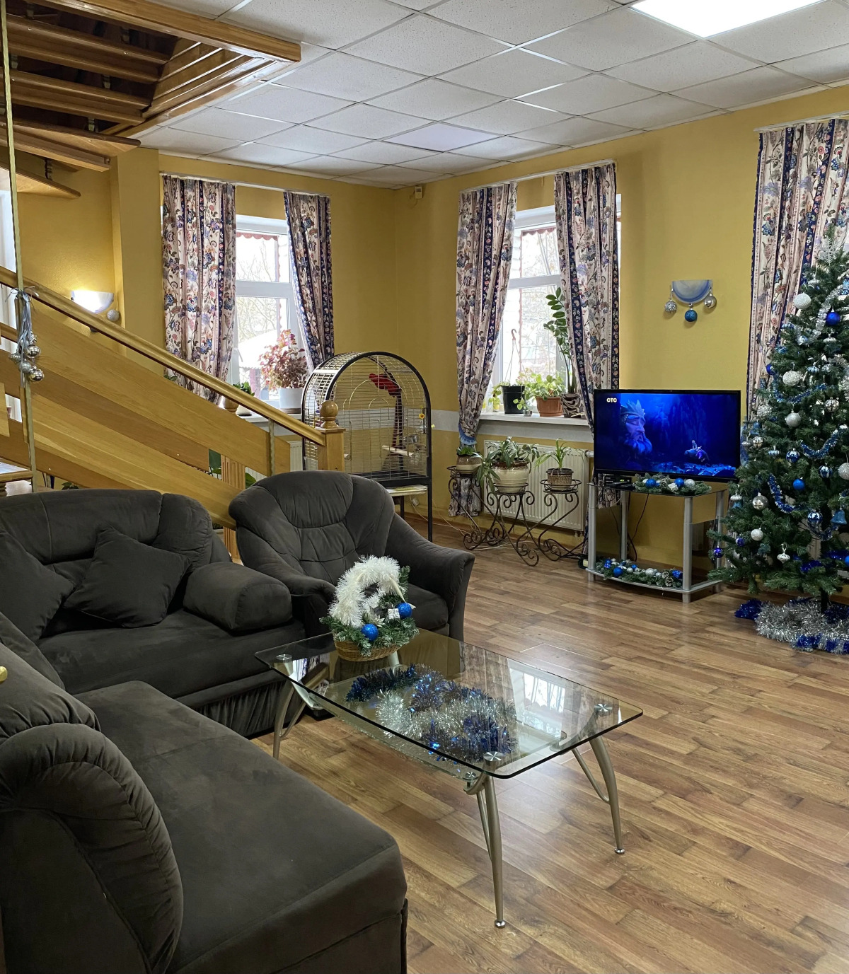 Отель Серая лошадь