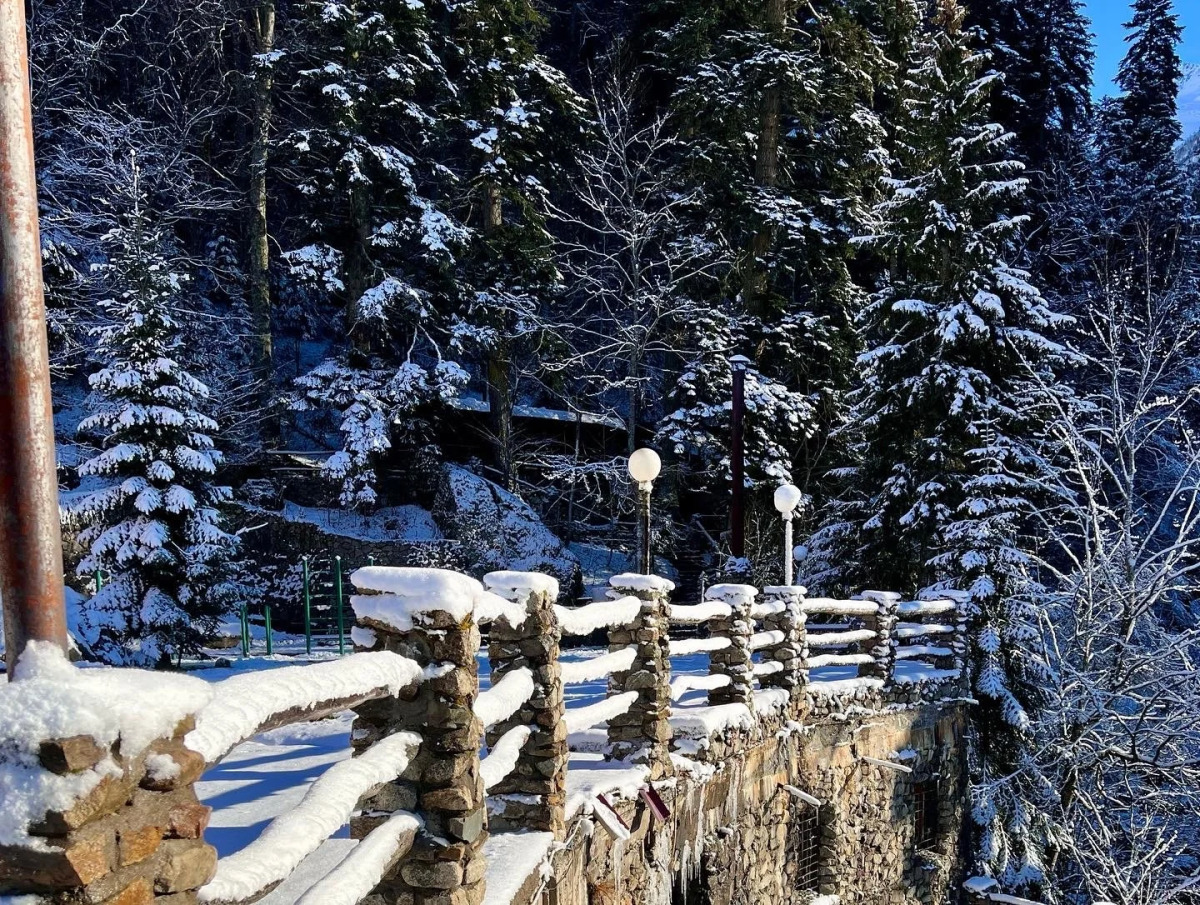 Отель Таулу