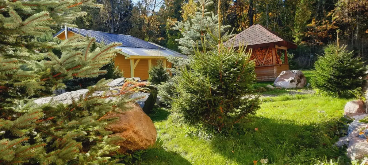 Гостевой дом с выходом в лес