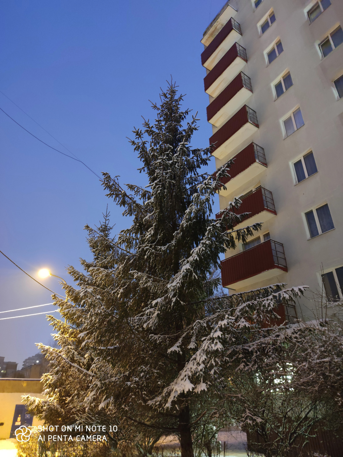 Отель Патриот