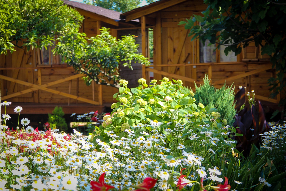 База отдыха Теремки