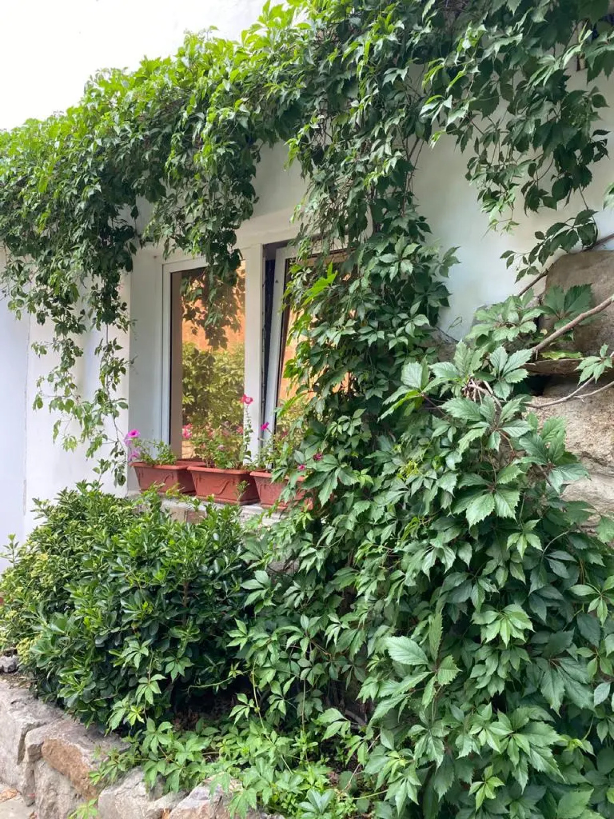 Гостевой дом Koronello