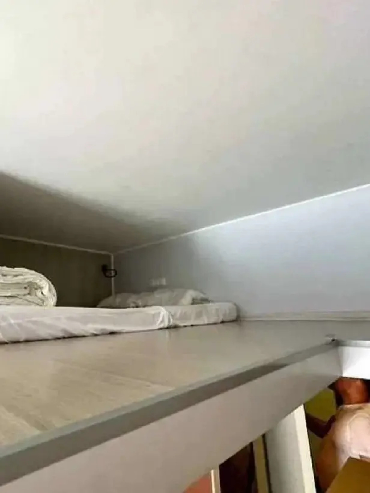 Апартаменты АртЛайт Мадонна