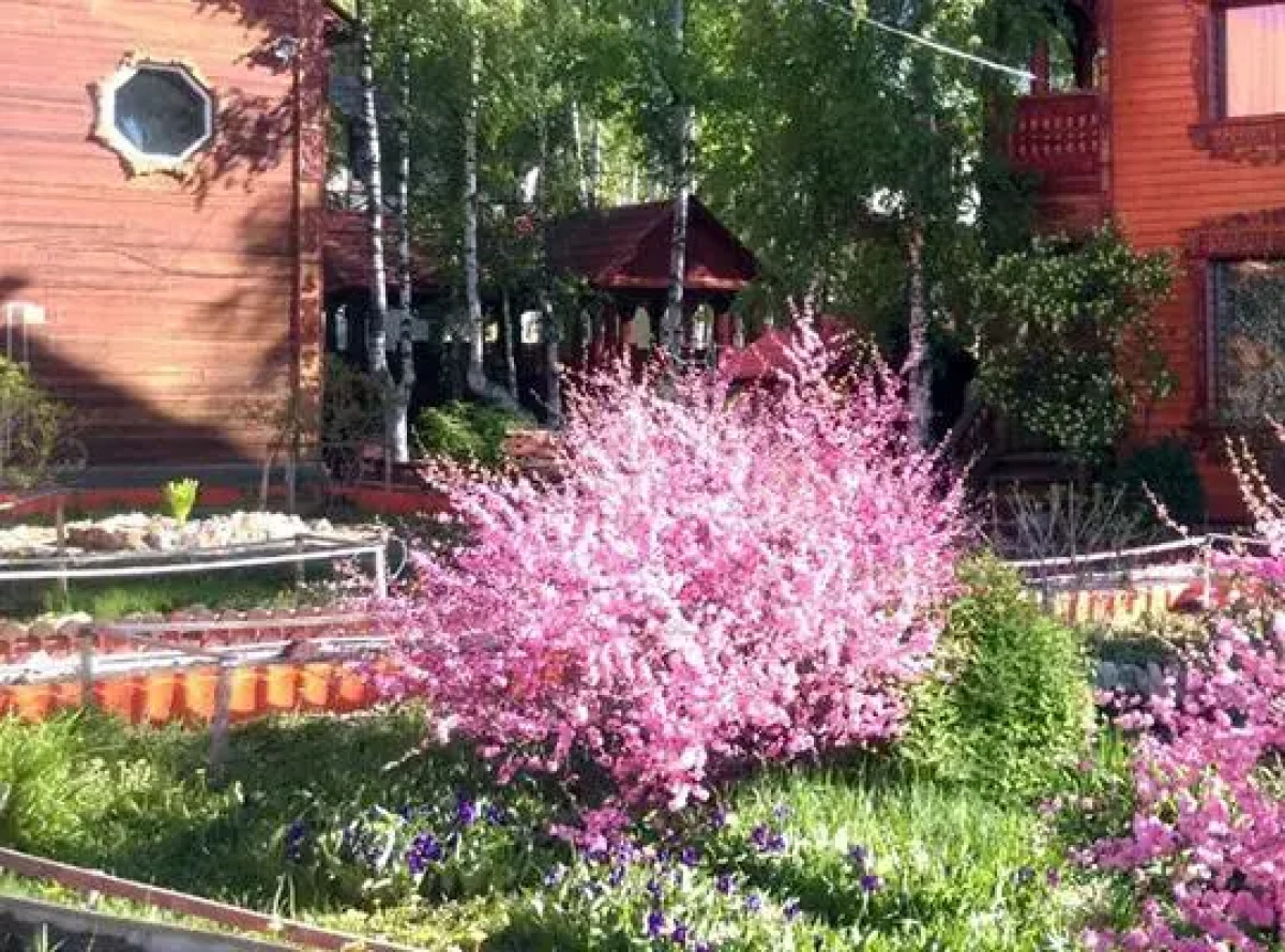 Мини-Отель Усадьба Марьина Роща