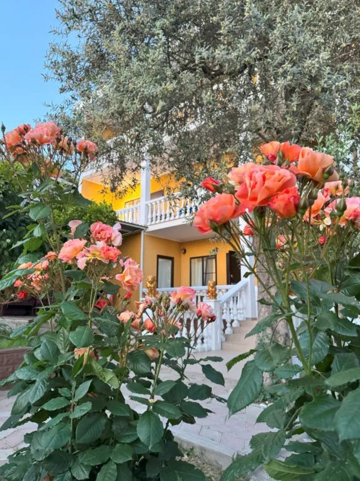 Мини-отель Мэри