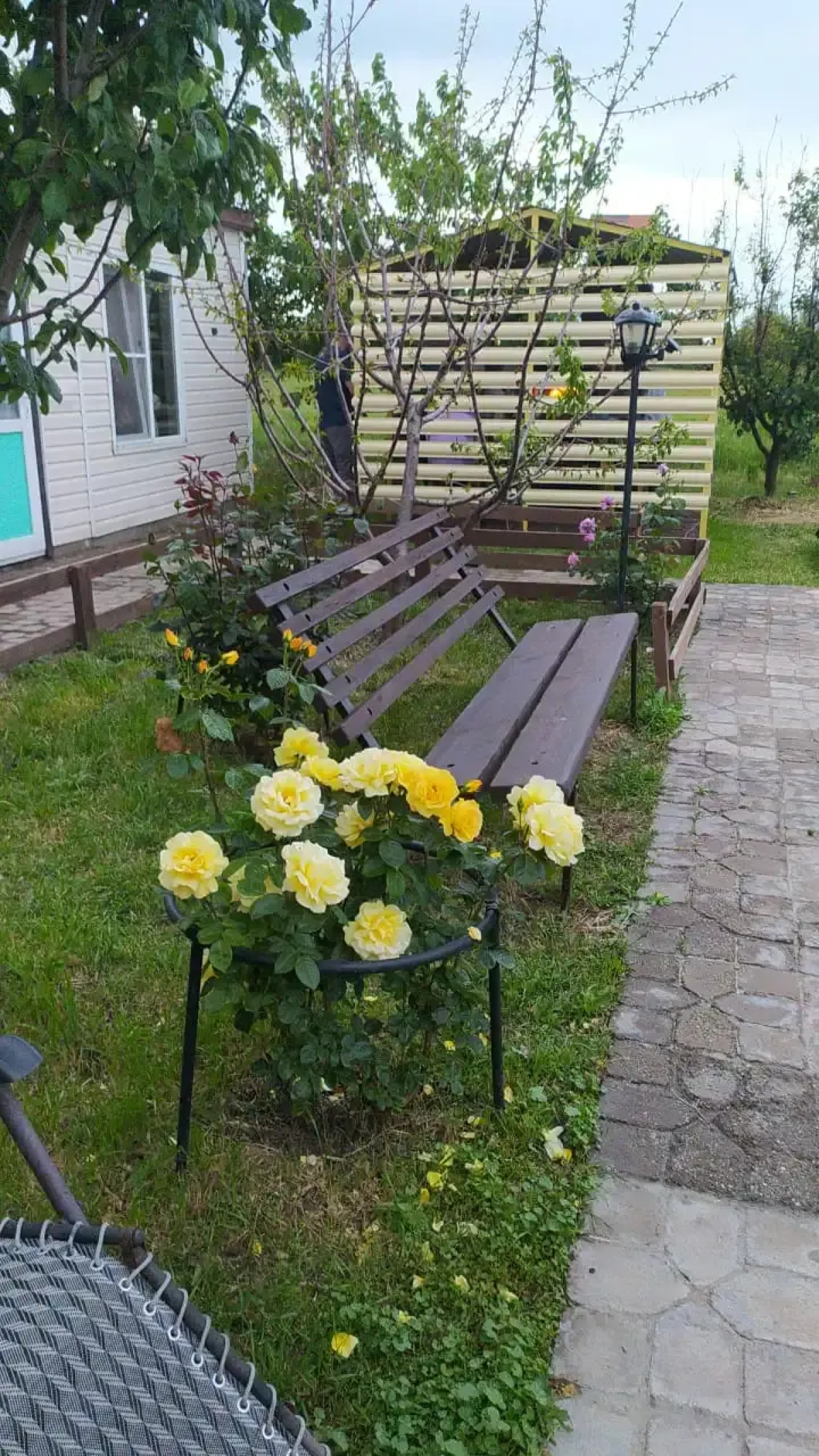 Звезда Азова