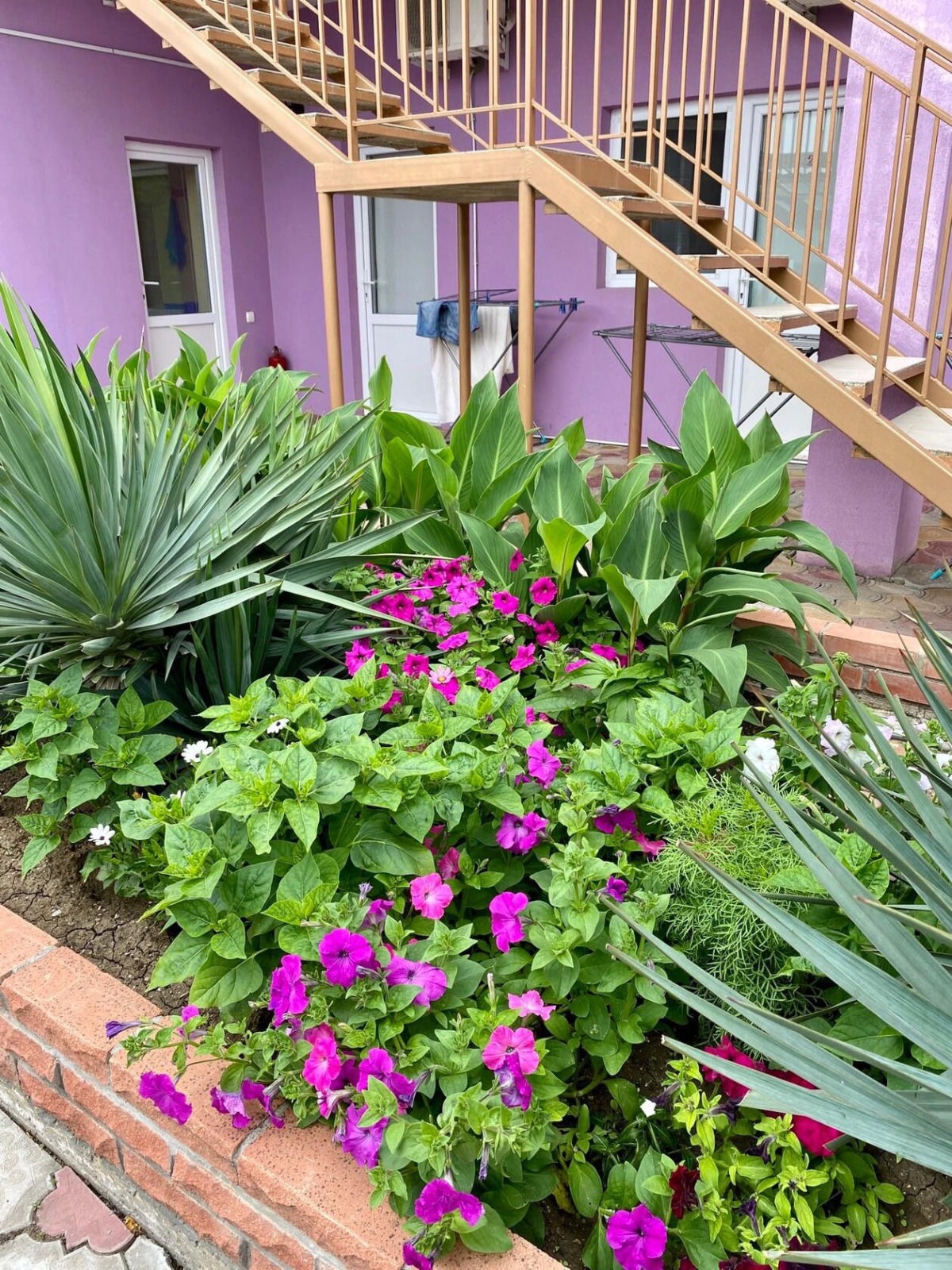 Гостевой Дом Фортуна