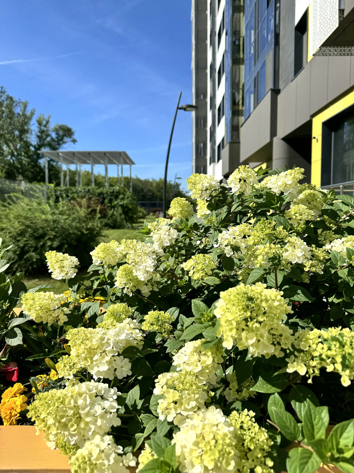 Квартира AURA