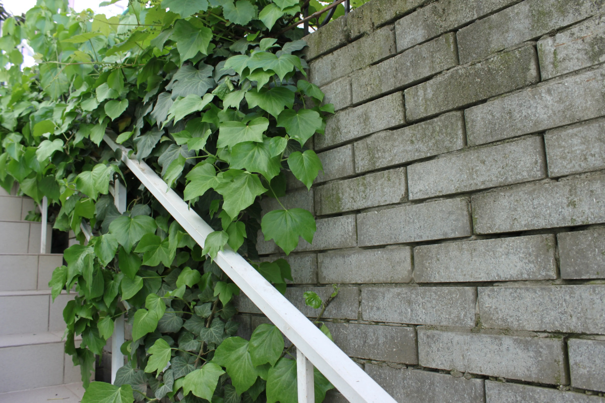 Dobro Pozhalovat Guest House