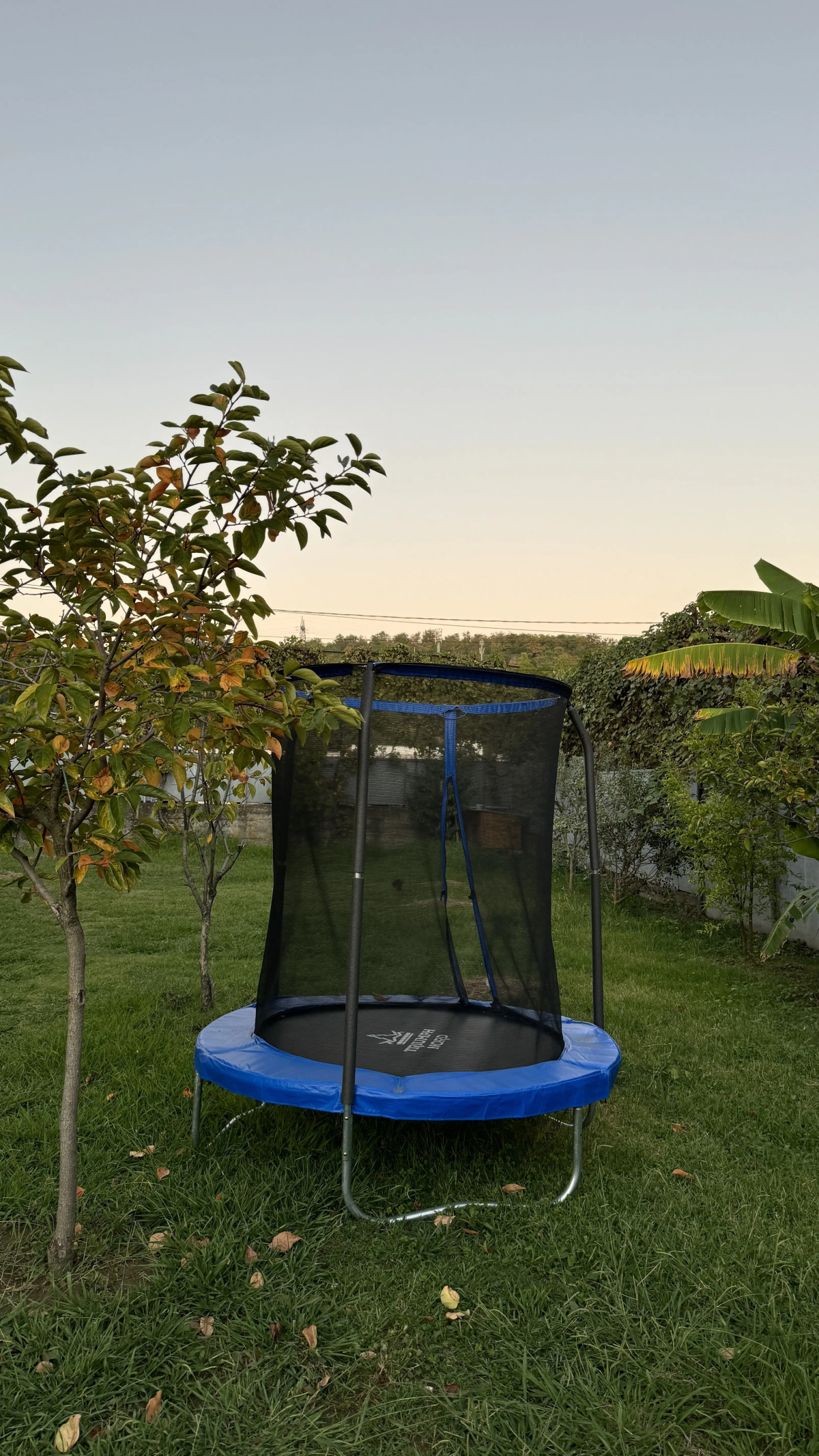 отель Sea Land Cottage