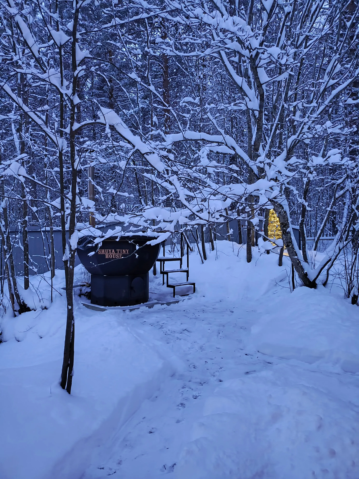 Гостевой Дом Shuya Tiny House (4-х Местный)