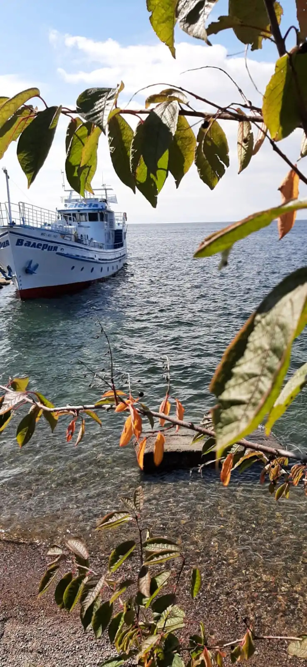 Гостевой дом Байкальская бочка Листвянка