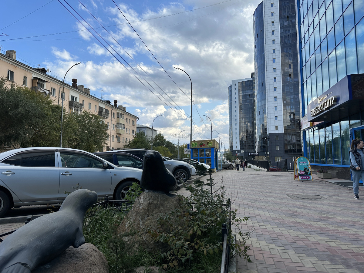 Студия Смолина 63-218 Улан-Удэ центр КакДома