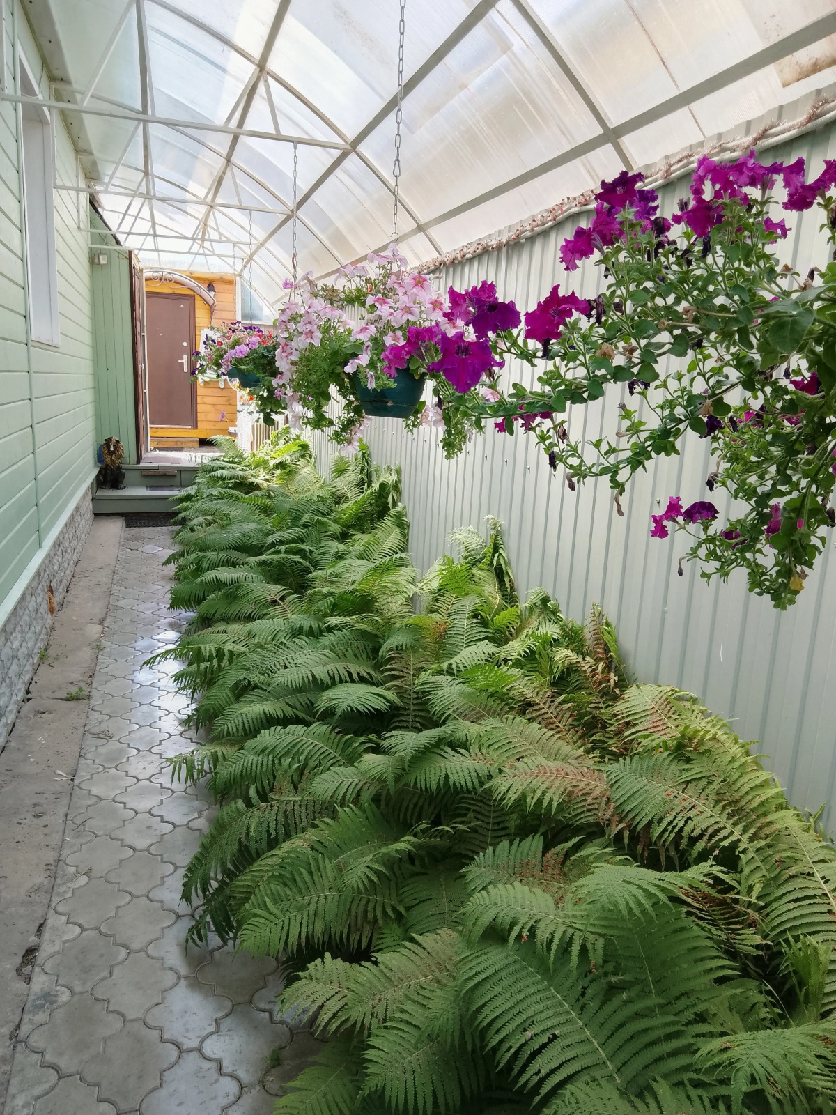 Гостевой дом Спасс