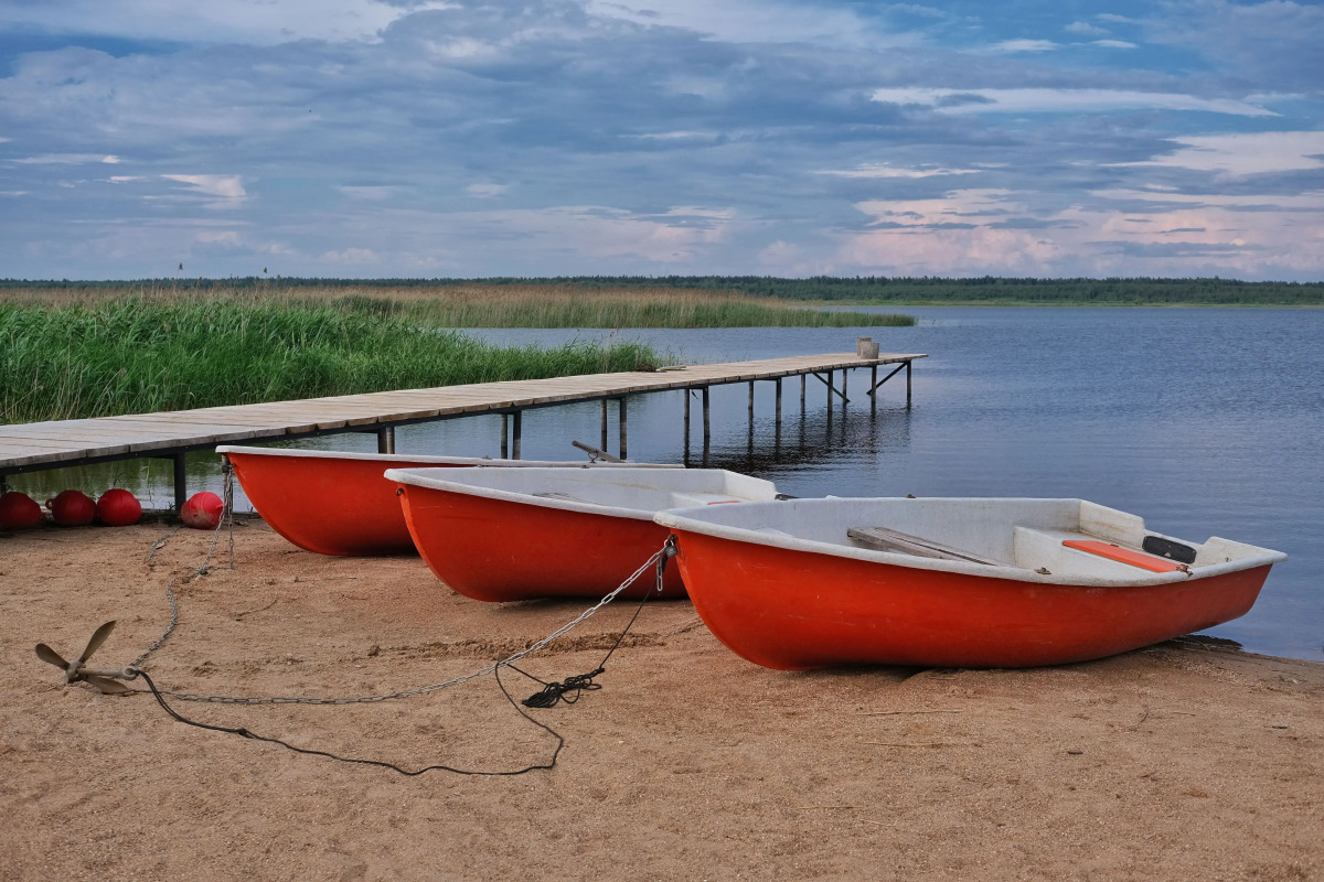 Гостевой дом Дикий Гусь