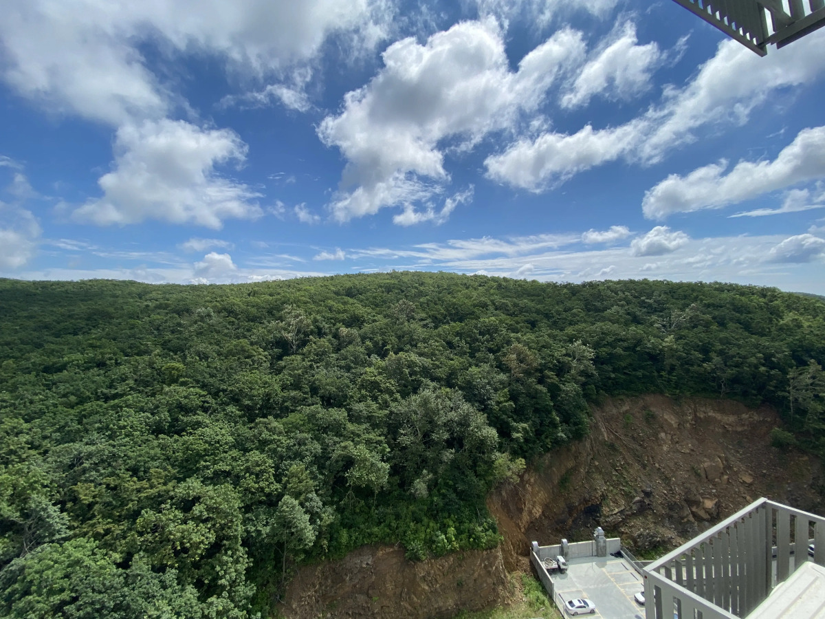 Апартаменты 2х комнатные на Зеленом бульваре 19 на 17 этаже