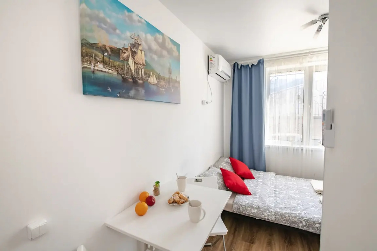 Квартира-студия 1 на Некрасовской