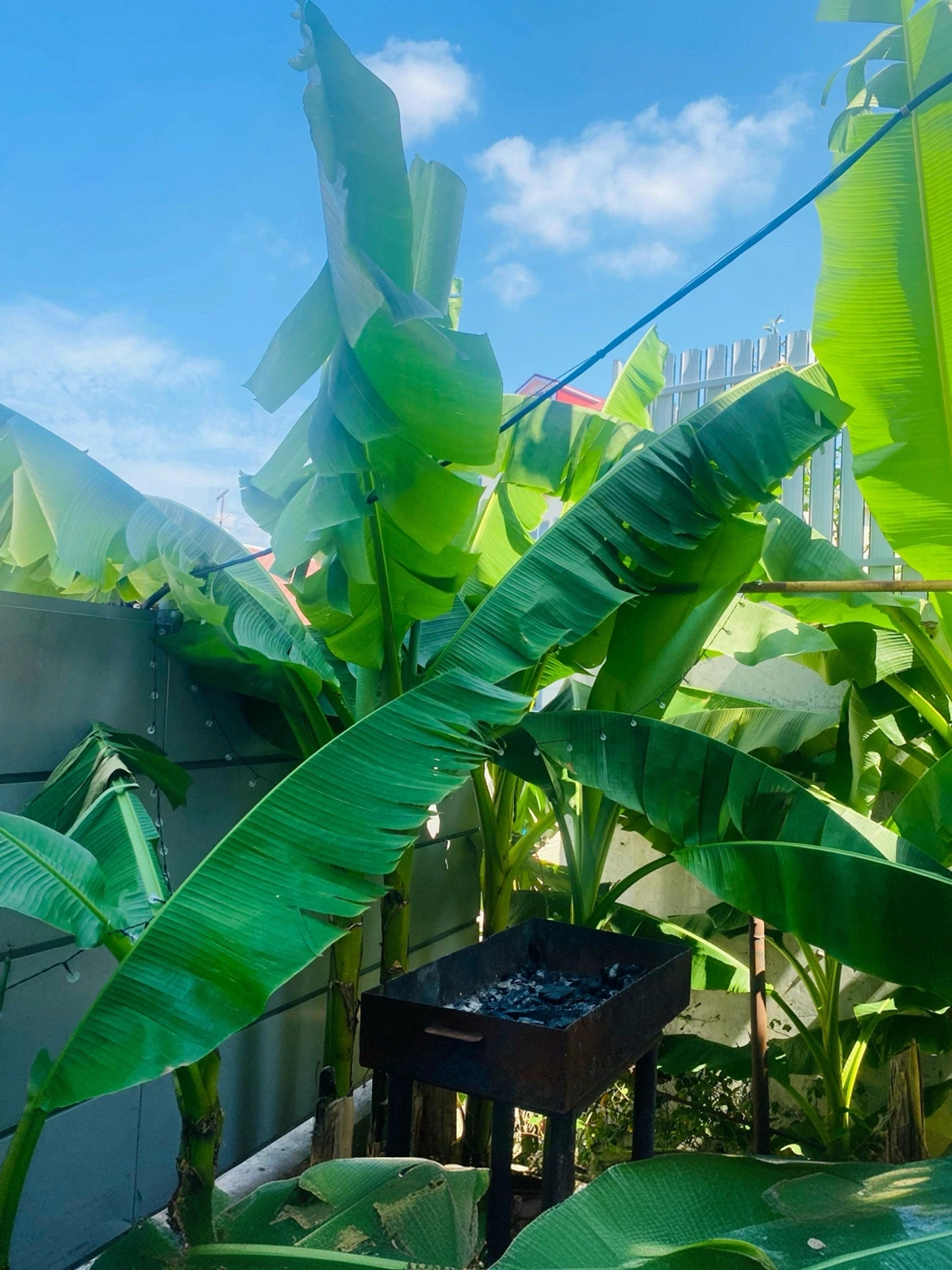 Гостевой дом на Яблочной