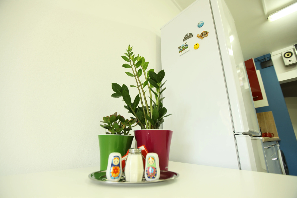 Хостел Три Матрёшки