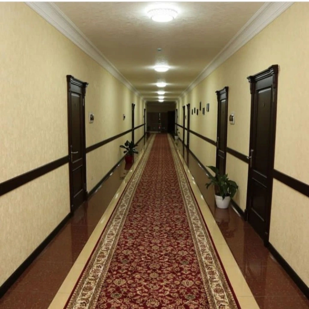 Hollywood 2 Hotel