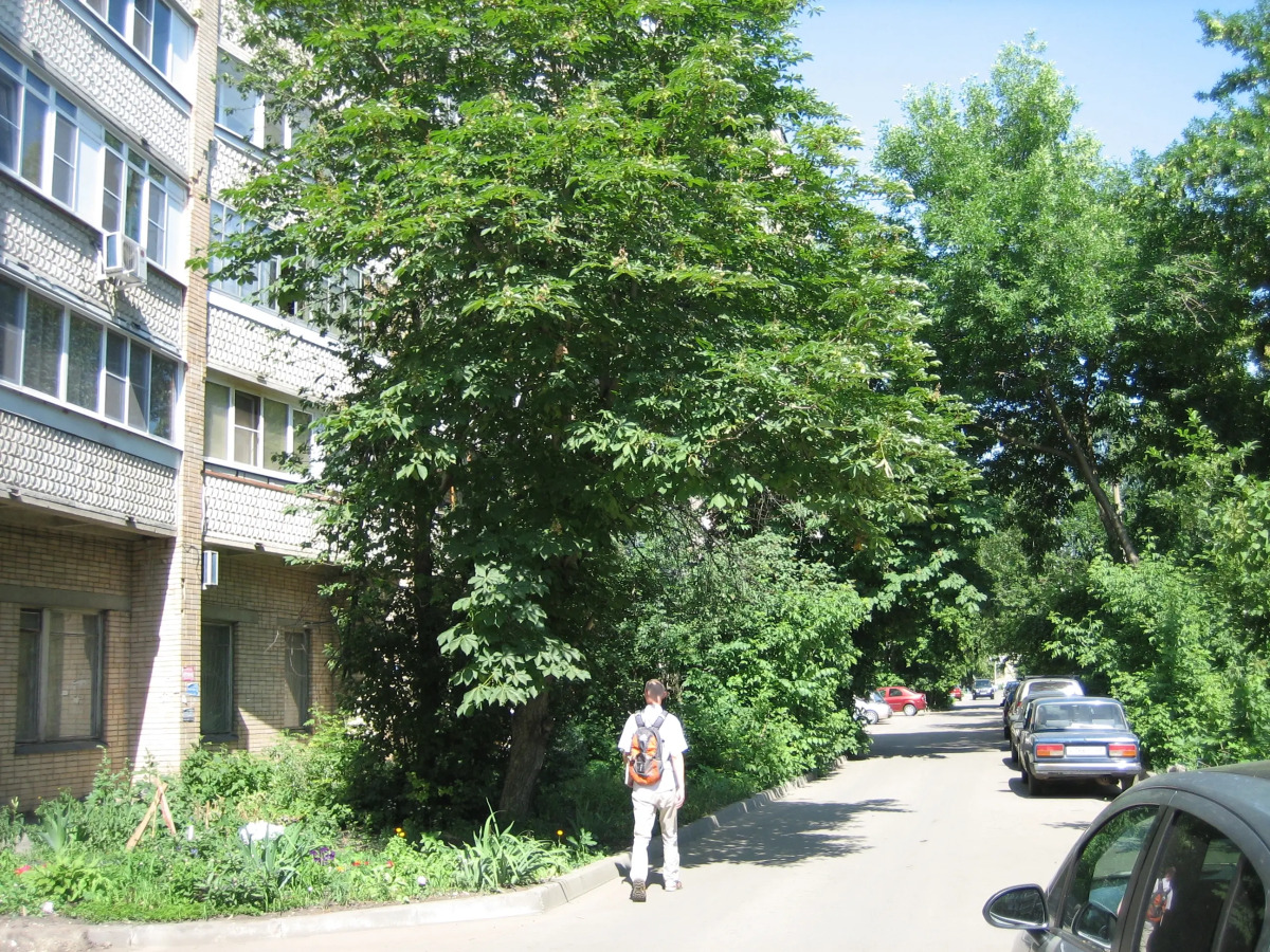 Центр города интернациональная 54