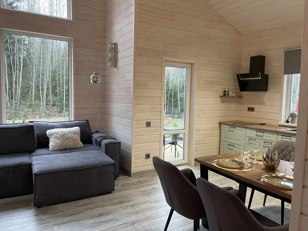 Частный дом SkandyVillage