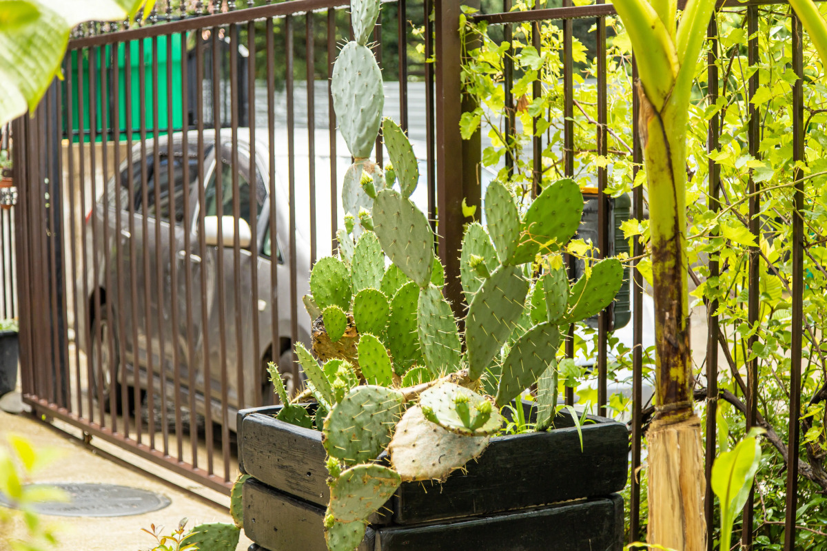 Гостевой Дом Light House