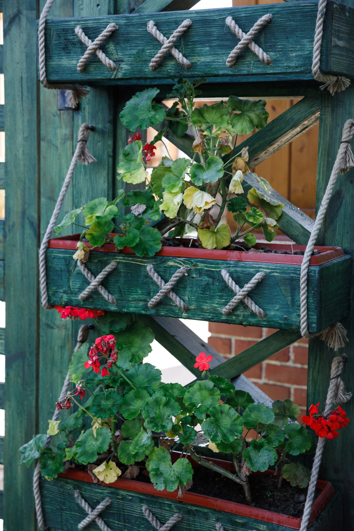 Отель Грин Терраса