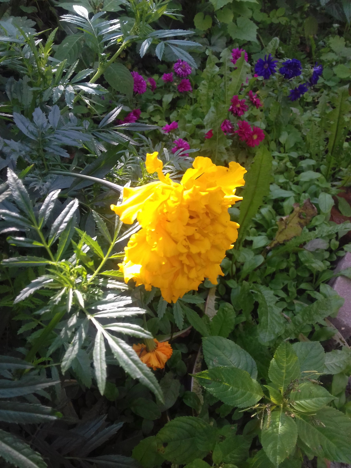 Гостиница У Домика Петра