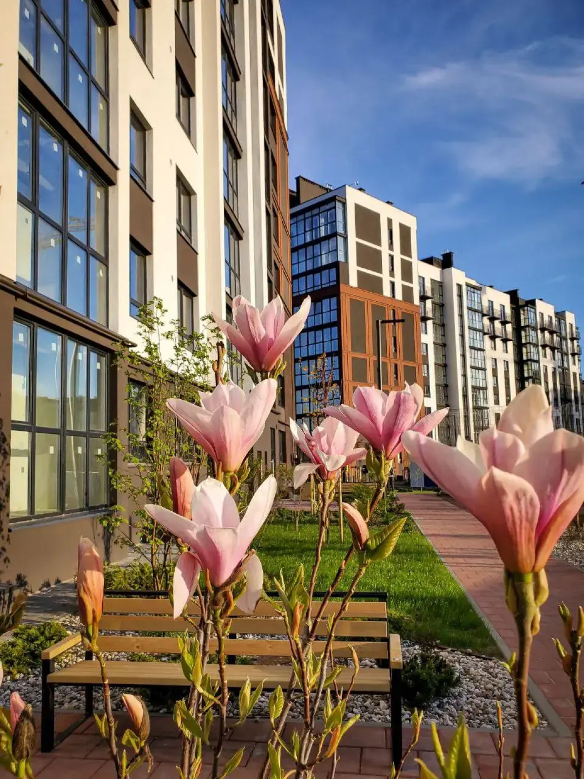 Квартира Невский релакс