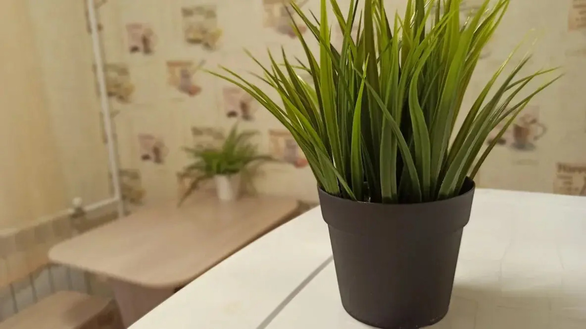 Квартира Красный проспект 59