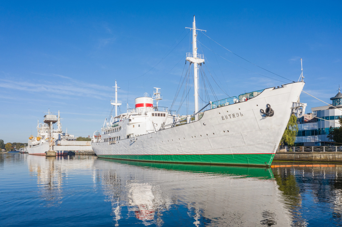 Отель Гостевые каюты НИС Витязь